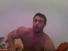 carne di manzo webcam in