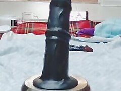 Horse dildo 31cm in asshole