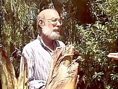 Oude mannen delen een slet in de tuin