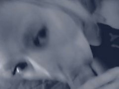 Jenna Jameson Blowjob POV