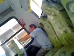 Tarado делают onibus