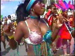 Miami Vice Carnival 2006 IV