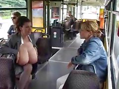 Tits géants A TRAIRE En routière