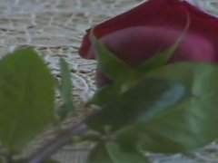 Rose für eine junge .