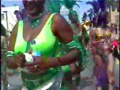 Deux flics à Miami - Carnival 2006