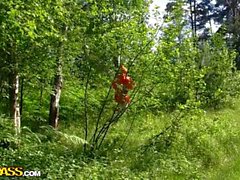 Красной шапочки гребаный при панда в лесу