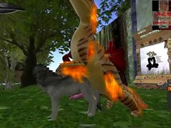 Gold-Raptor Paarung mit einem Wolf
