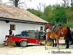 Tesão peituda ruiva Mulheres maduras chupa difícil