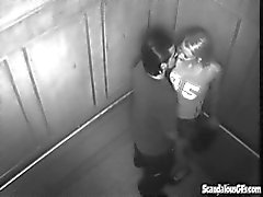 Диких пола в лифтовой получает Пойманные на вебкамеру