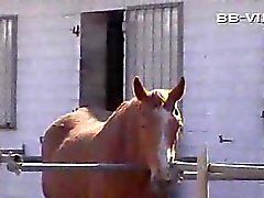 Deutsch Geschlechts auf dem Bauernhof prt1 BMW ...